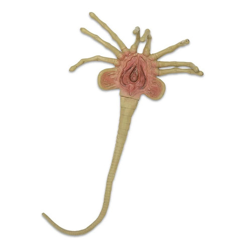 Neca alien facehugger 1 - neca,