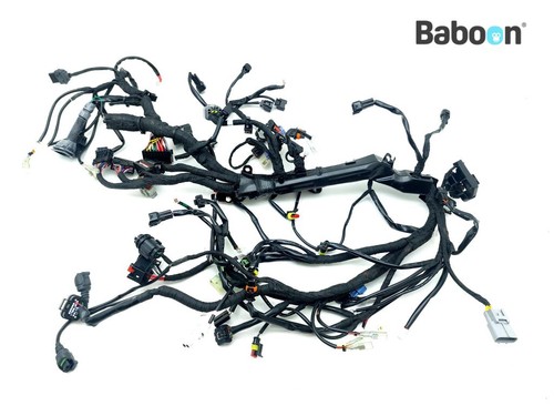 Wiring harness ktm - harness, (main)