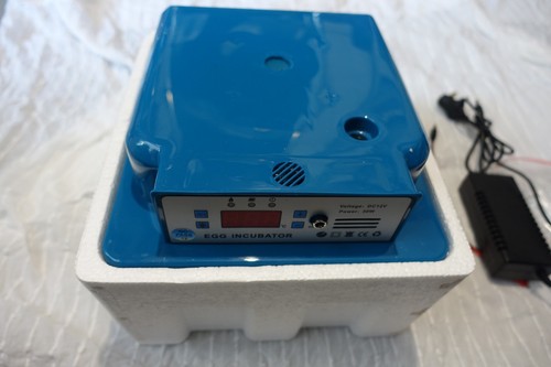 Digital egg incubator - egg,