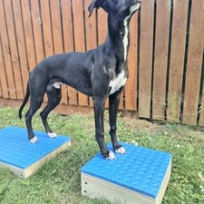 Dog Training Place Board &