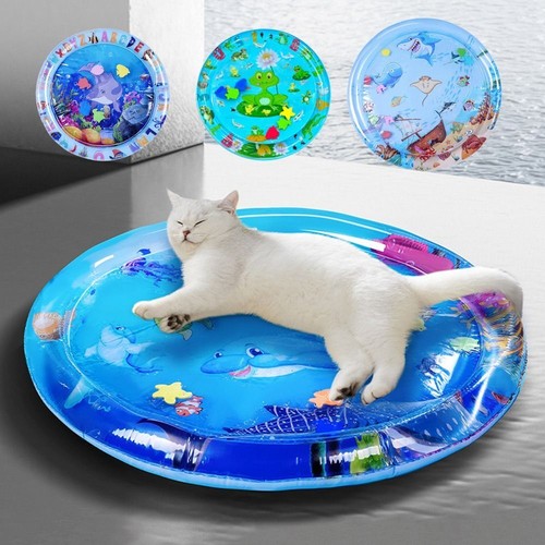 Cat dog water - dog,