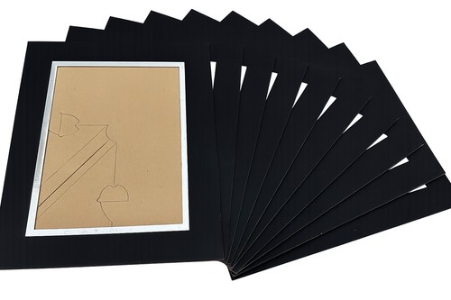 Photo strut mounts x - photo, 10”