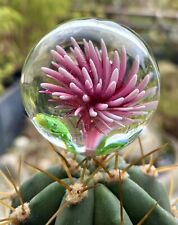 . Clear glass vintage Art Deco