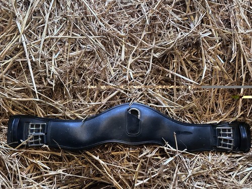 Collegiate anatomical dressage - collegiate,