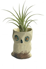 Vintage Keele Street Pottery England egg cup Hand painted