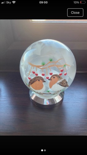 Battery operated robin - battery,