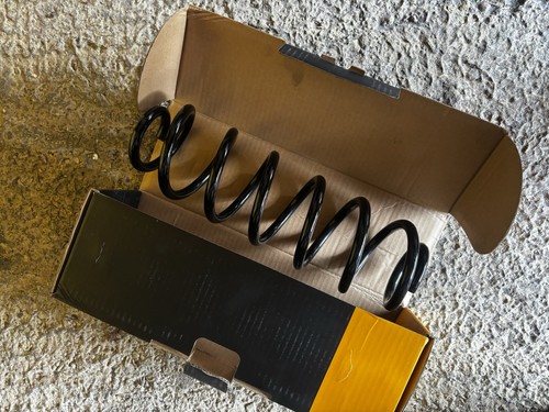 Rear coil spring for - coil,