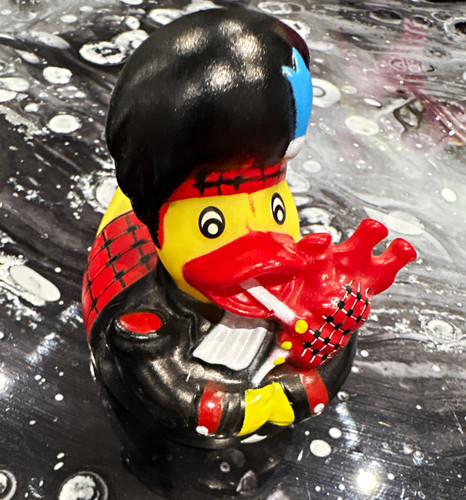 Collectable duck ornament - collectable,