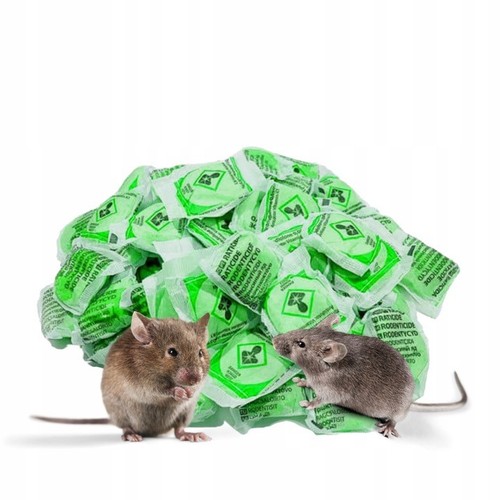 Super strong ratimor rat - strong,