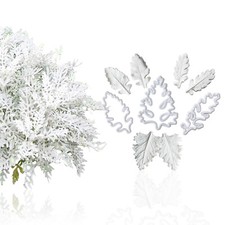 Senecio Cineraria Fondant Mold