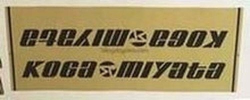 Koga miyata downtube decals - koga,