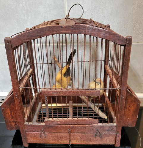 Antique vintage wooden - antique, /