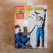 Maxi Tex 11 - Fort Sahara 2007