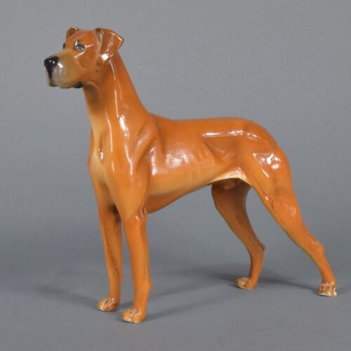 Nymphenburg great dane german - dane,