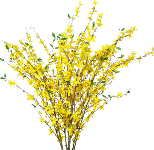Fake forsythia stems - forsythia,