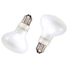  2 Pack Reptile Uvb Uva Heat Lamp Bulb For Reptiles Truly Sun-Like Bright9969