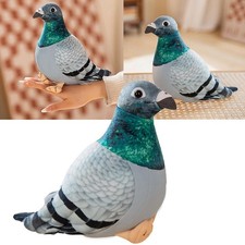Simulation Pigeon Bird Soft
