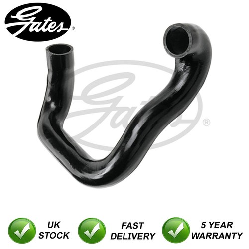 Hose - (radiator, pipe)