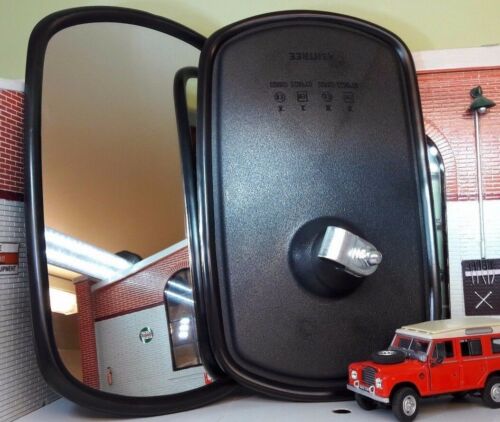 Large door wing - wing, mirror