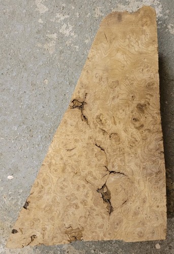 Timber scottish burr - timber, blank
