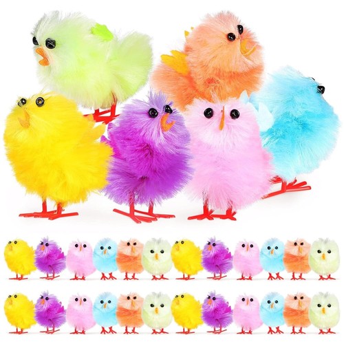 160 mini coloured - mini, chicks