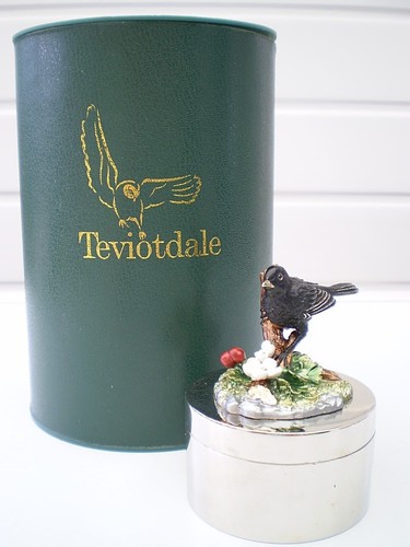 Teviotdale bird blackbird on - teviotdale,