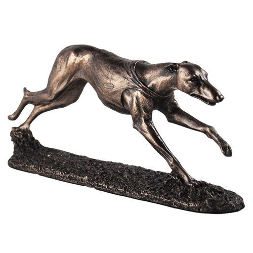 Single racing greyhound - single,