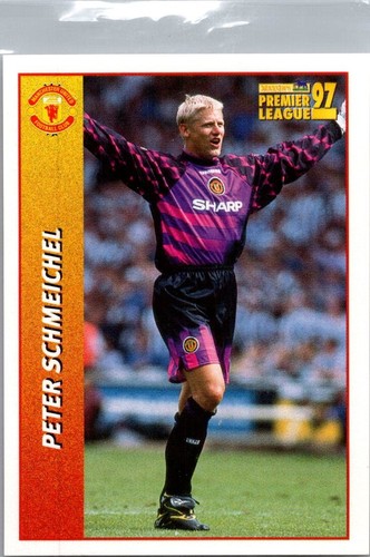 Peter schmeichel merlin - peter,