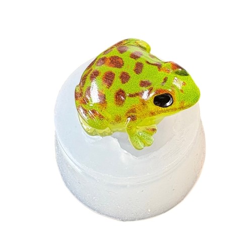 Multi use frogs silicone mold - multi,