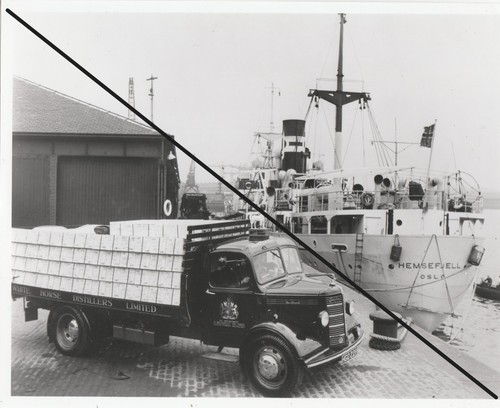 Photograph 5cm 20cm - x,