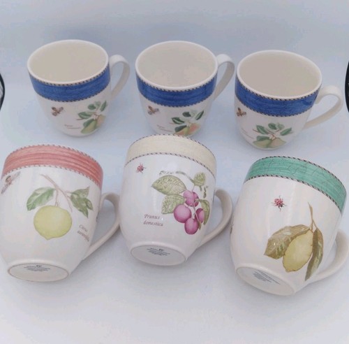 Wedgwood sarah s garden - , x