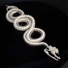 Real VIPER snake skeleton, 4 rings snake taxidermy, snake skull, snake fangs