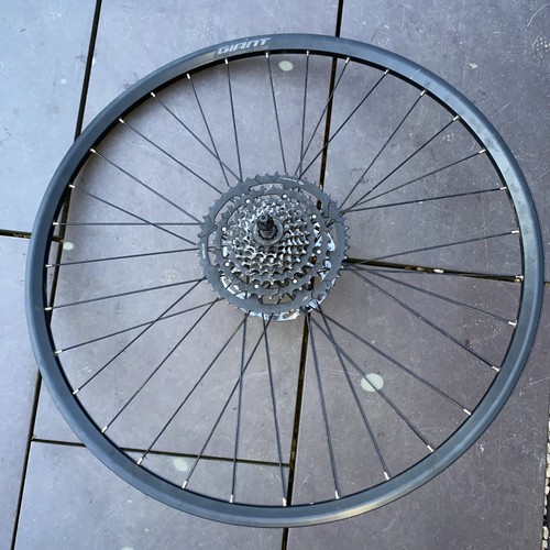 29er giant rear wheel - ,