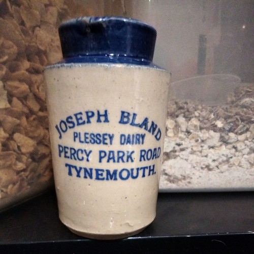 Blue top cream - blue,