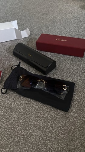 Cartier ct0550s men - cartier,
