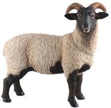 Norfolk Sheep Ornament Garden