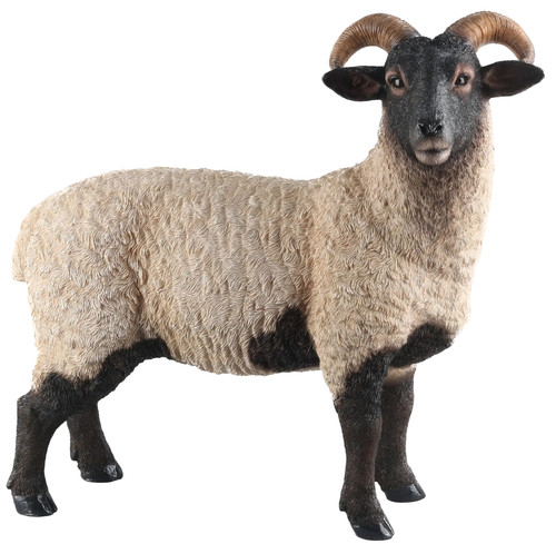 Norfolk sheep ornament garden - norfolk,