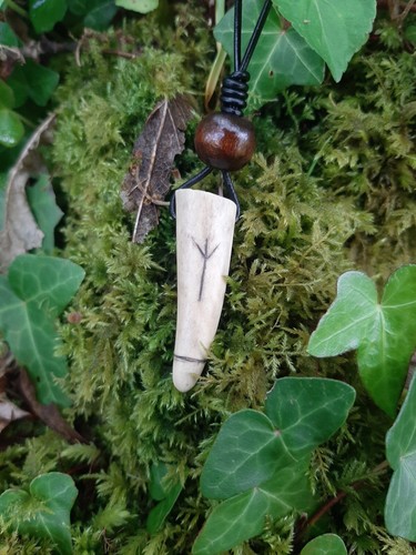 Carved antler rune - antler,