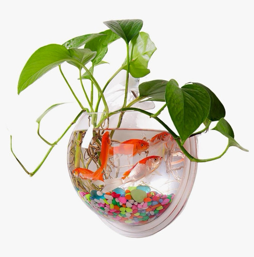 Wall mounted fish bowl planter - wall-mounted,