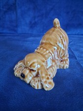 Wade Cocker Spaniel Golden