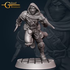 Human Rogue Assassin - Galaad