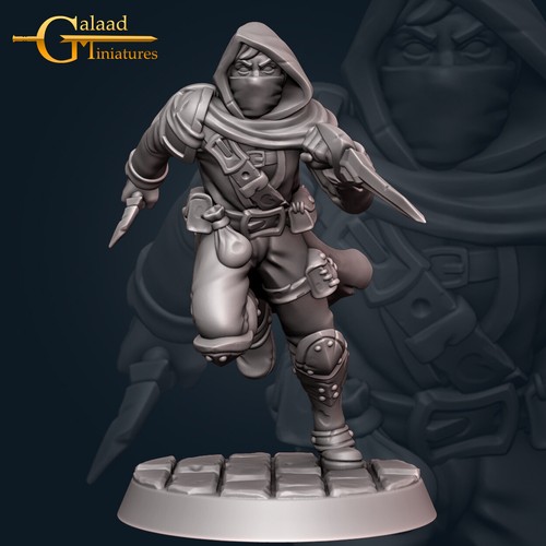 Human rogue assassin - -, galaad