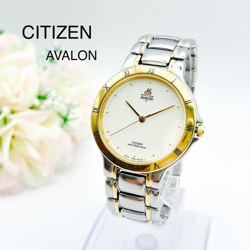 Working condition citizen - working,