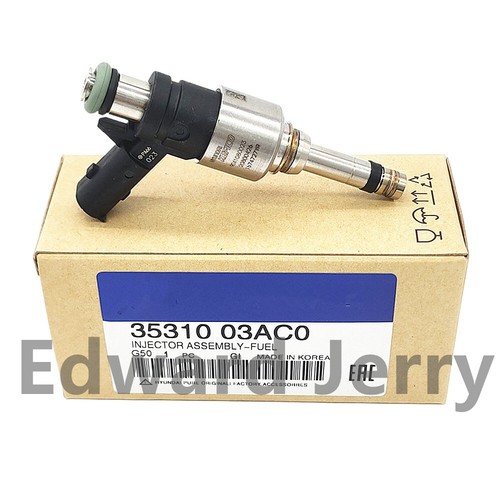 Fuel injector for - fuel,
