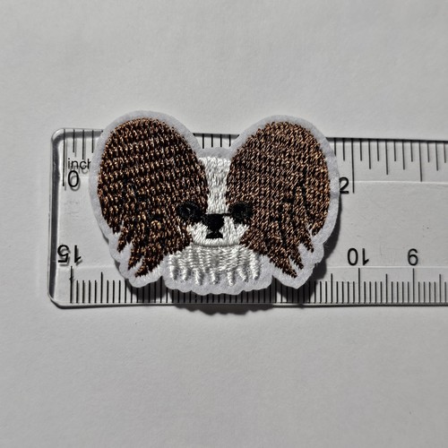 P179 papillon puppy dogs - puppy,