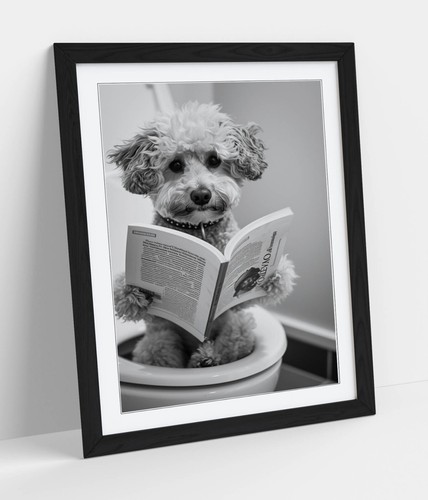 Toy poodle toilet funny - toy,