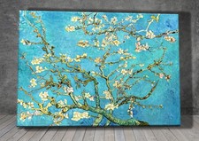 Van Gogh Almond Blossom flower
