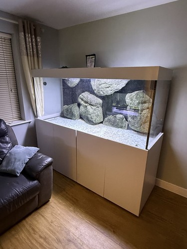 Large aquarium 6ft 32inches - x,