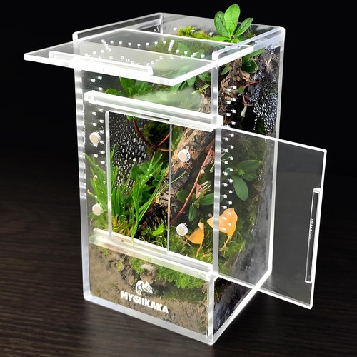 Jumping spider enclosure - jumping,
