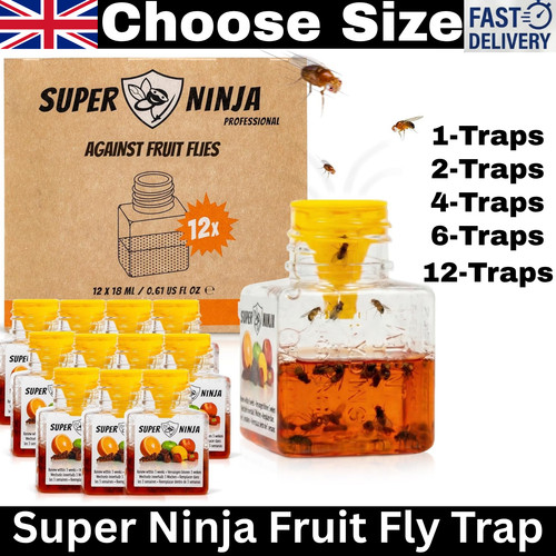 Super ninja fruit fly - fly, trap
